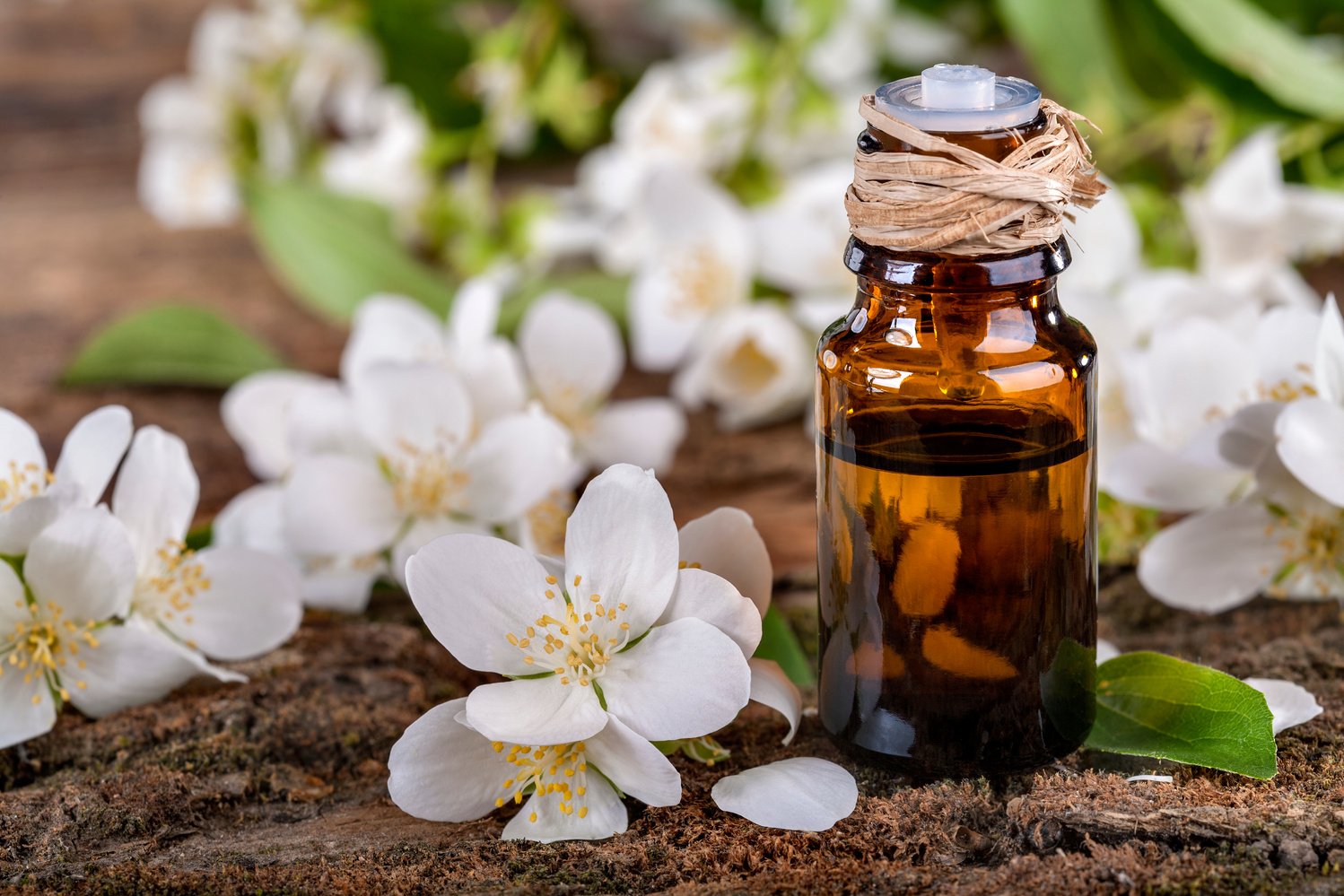 Jasmine essential oil